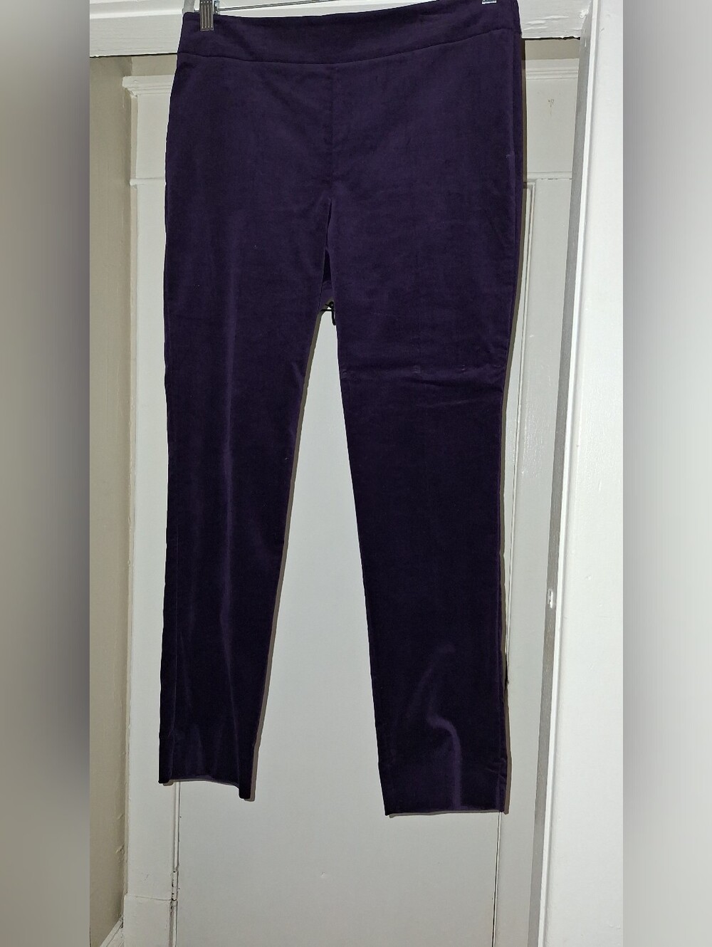 Talbots Straight Leg Velvet Pants in Deep Purple